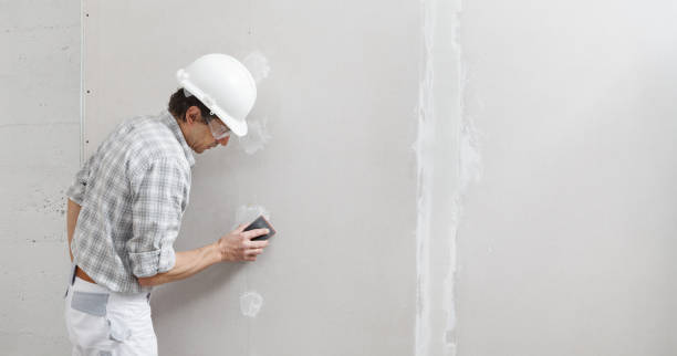 Best Emergency Mold Remediation  in Lake Waynoka, OH